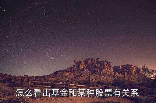 怎么看出基金和某种股票有关系