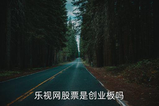 乐视网股票是创业板吗