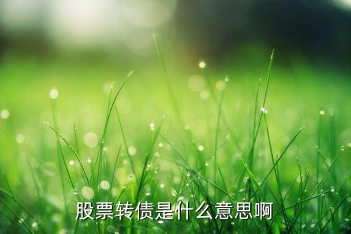 股票转债是什么意思啊