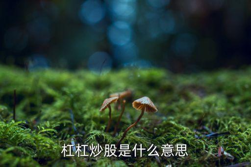 杠杠炒股是什么意思