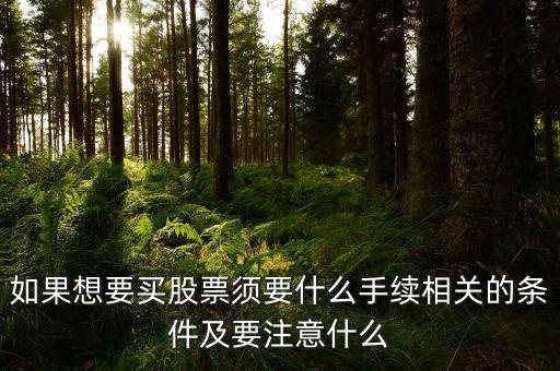 如果想要买股票须要什么手续相关的条件及要注意什么