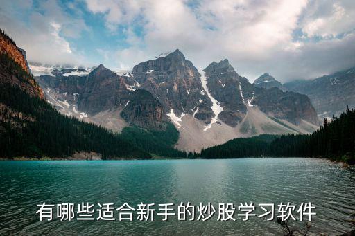 有哪些适合新手的炒股学习软件