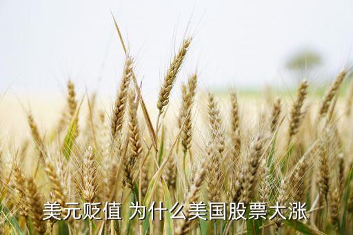 美元贬值 为什么美国股票大涨