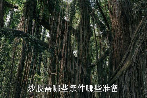 炒股需哪些条件哪些准备