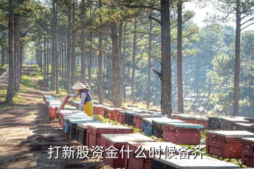 股票打新什么时候准备资金，打新股资金什么时候备齐