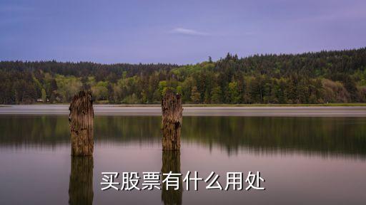 买股票有什么用处
