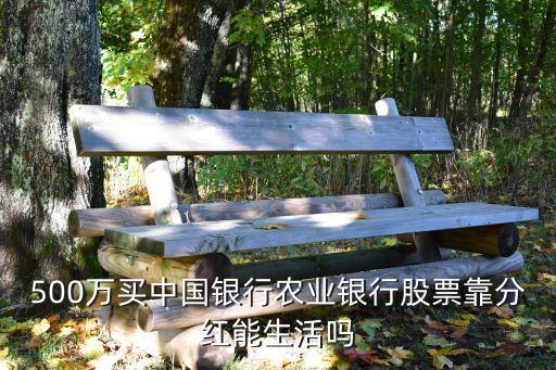 500万买中国银行农业银行股票靠分红能生活吗