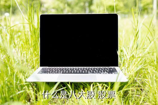 什么是八大股 股票