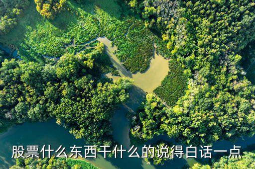 股票什么东西干什么的说得白话一点