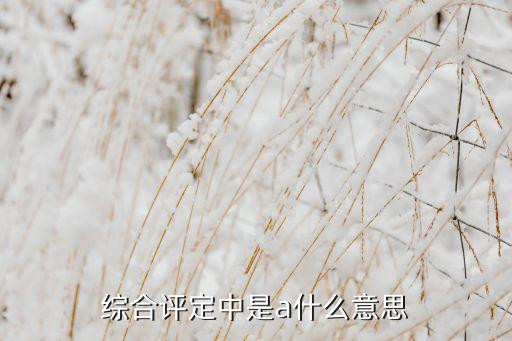 综合评定中是a什么意思