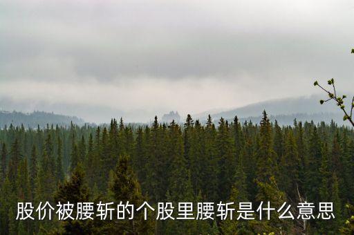 五天腰斩的股票叫什么，首创股份2016年5月23日腰斩怎么回事