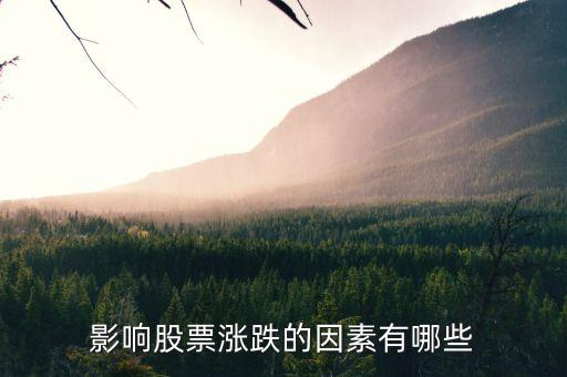 什么因素影响股票价格变动，影响股票涨跌的因素有哪些