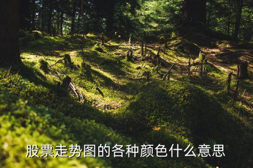 股票走势图的各种颜色什么意思