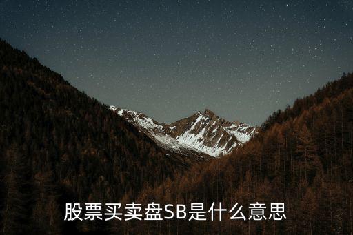 股票买卖盘SB是什么意思
