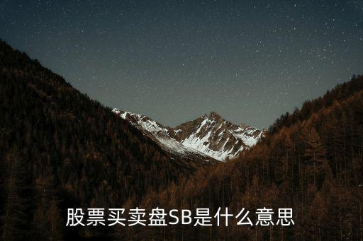 股票交易sb是什么意思，股票买卖盘SB是什么意思