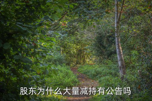 股东为什么大量减持有公告吗