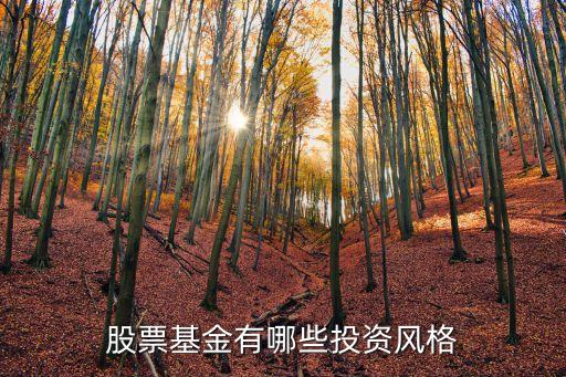 股票基金有哪些投资风格