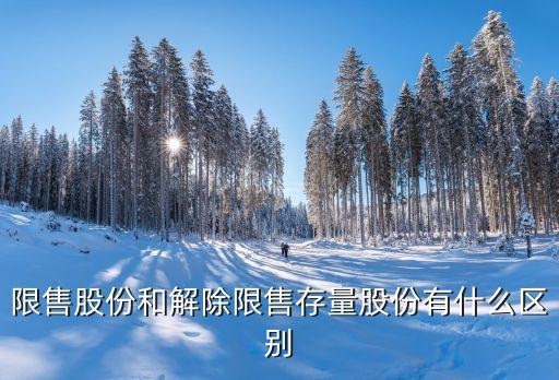限售股份和解除限售存量股份有什么区别