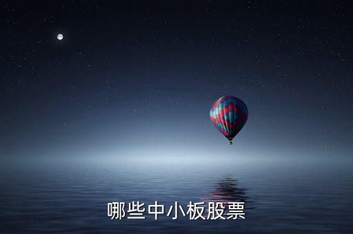 哪些中小板股票
