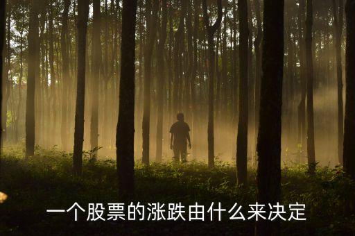 一个股票的涨跌由什么来决定