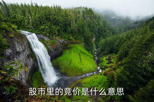 股市里的竞价是什么意思