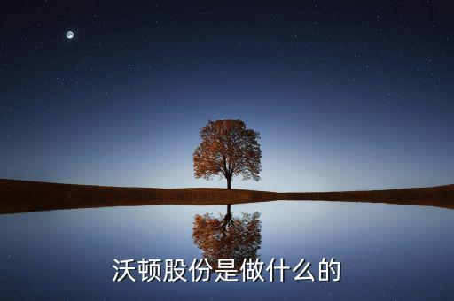 it服务股票做什么的，IT股票是什么意思啊