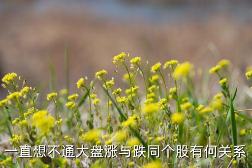 一直想不通大盘涨与跌同个股有何关系