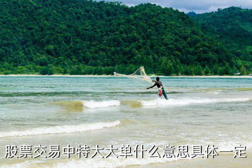 股票交易中特大大单什么意思具体一定