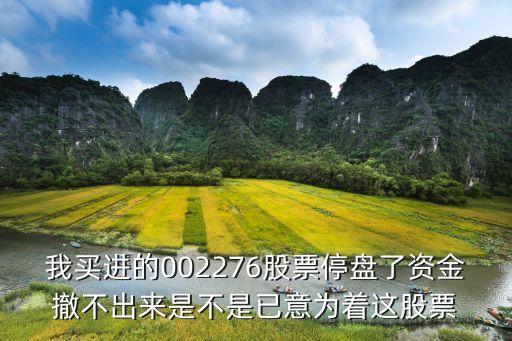 我买进的002276股票停盘了资金撤不出来是不是已意为着这股票