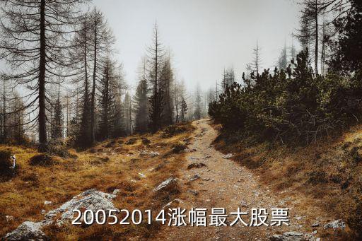 20052014涨幅最大股票
