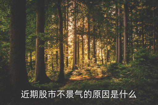 今年股票行情为什么这么差，为什么今年的股市不好