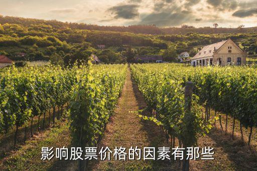 影响股票价格的因素有那些