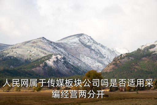 人民网属于传媒板块公司吗是否适用采编经营两分开