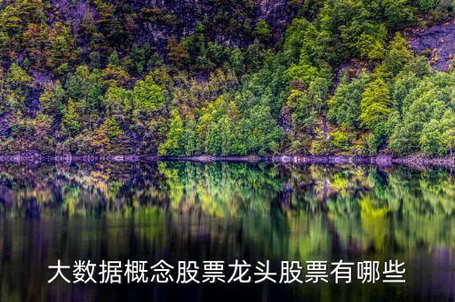 大数据概念股票龙头股票有哪些