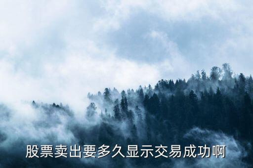 股票卖出要多久显示交易成功啊