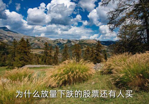为什么股票下跌了还能买入，为什么放量下跌的股票还有人买