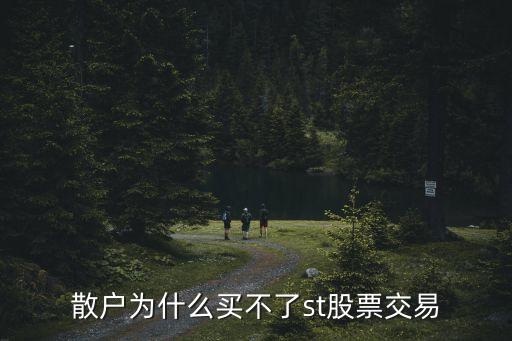 散户为什么买不了st股票交易