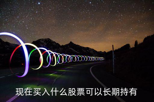 现在买入什么股票可以长期持有