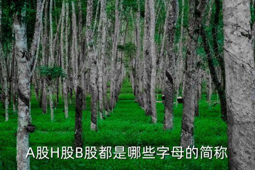 A股H股B股都是哪些字母的简称