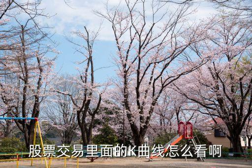 股票交易里面的K曲线怎么看啊