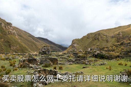 买卖股票怎么网上委托请详细说明谢谢