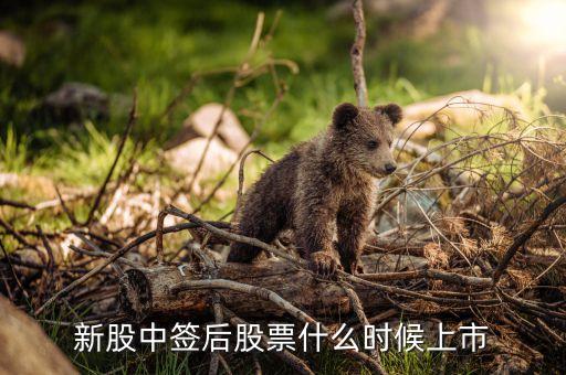 新股中签后股票什么时候上市