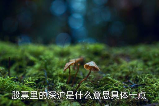 股票里的深沪是什么意思具体一点