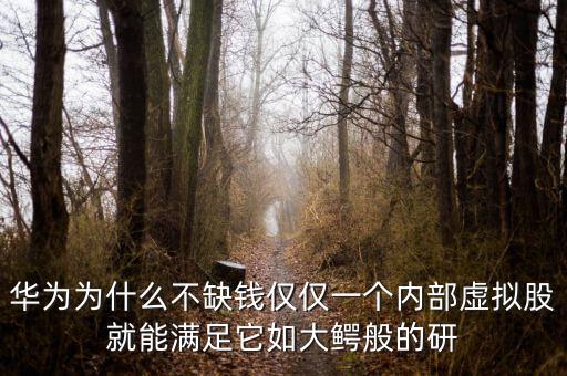 华为为什么不缺钱仅仅一个内部虚拟股就能满足它如大鳄般的研