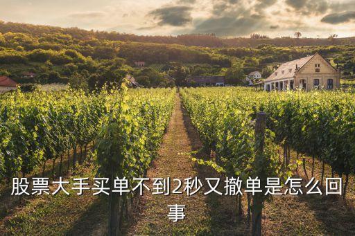 为什么股票大单挂单就撤单，股票大手买单不到2秒又撤单是怎么回事