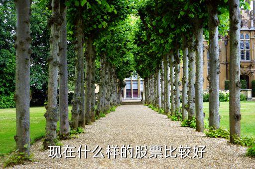现在什么样的股票比较好