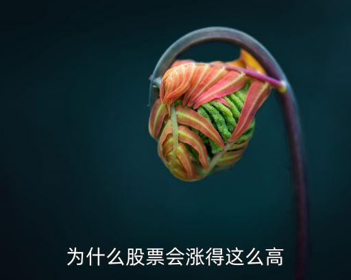 为什么股票会涨得这么高