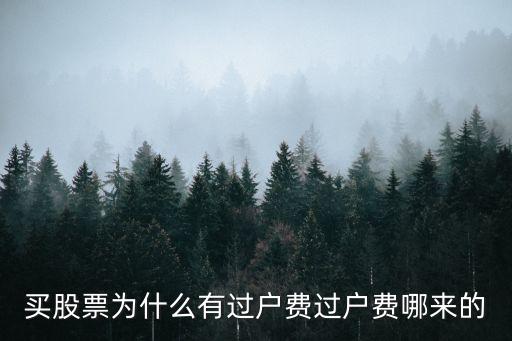 股票为什么有的要过户费，为什么有的股票会收过户费
