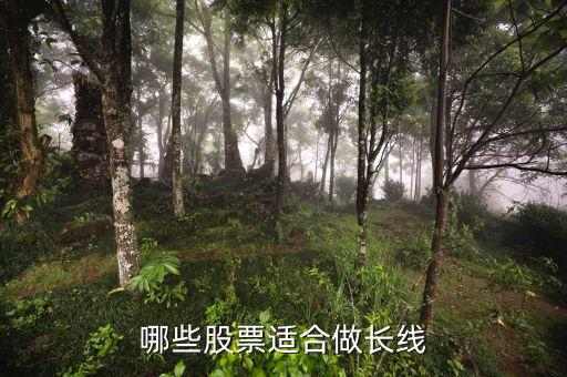 哪些股票适合做长线