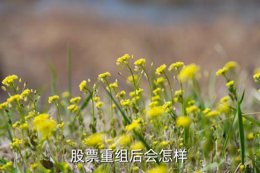 股票重组后会怎样